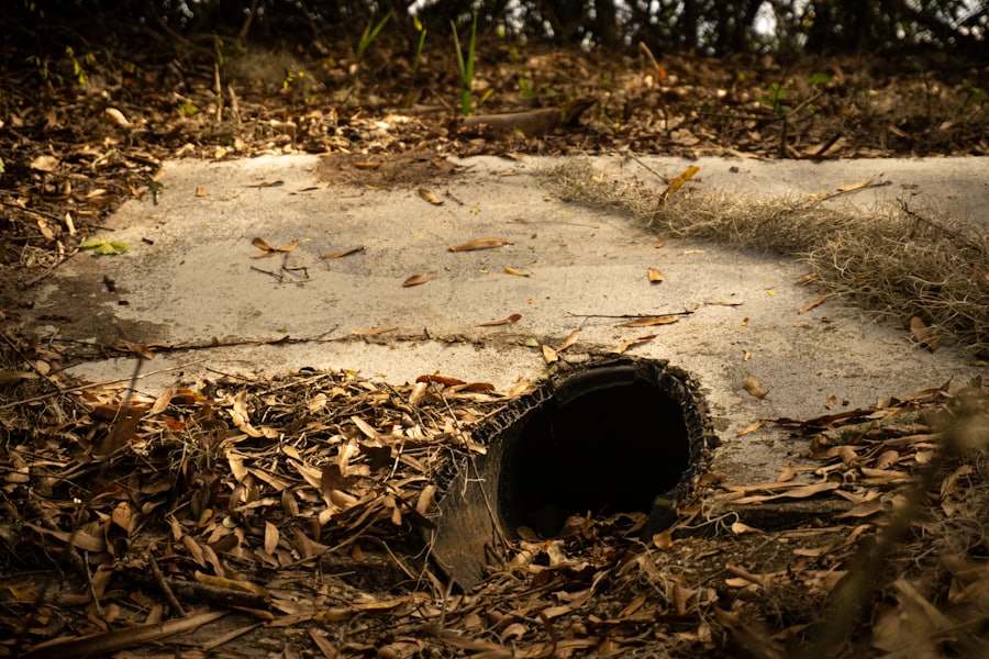 French drain and yard drainage solution installation for water management